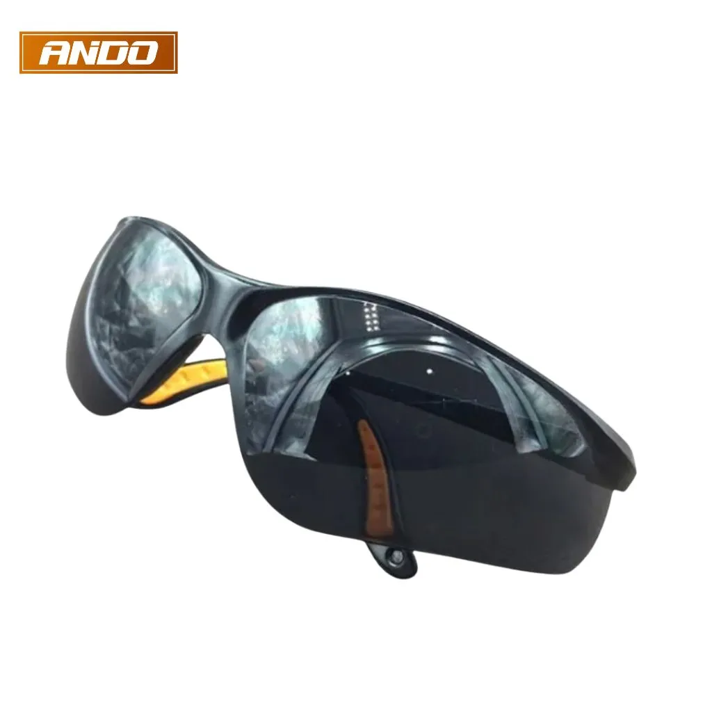 Kính BHLĐ EV202 chống bụi
