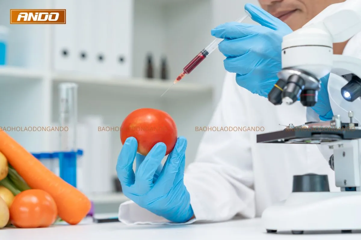 c&aacute;c loại găng tay bảo hộ